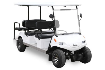 6 Seater Golf Cart